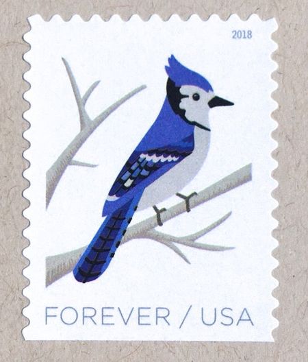 100 Blue Jay Forever Stamps Unused Postage Stamps for Cards and Wedding Invitations